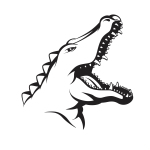 Crocodile 